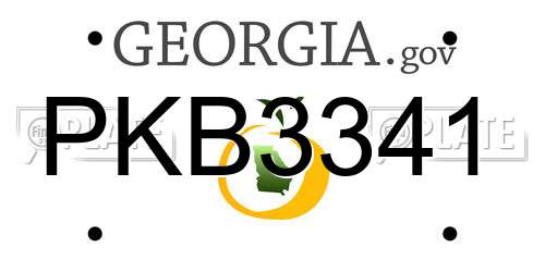 PKB3341 Georgia License Plate
