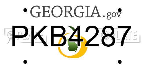 PKB4287 Georgia License Plate