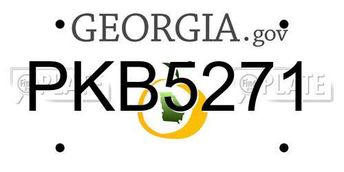 PKB5271 Georgia License Plate