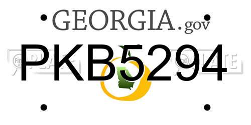 PKB5294 Georgia License Plate