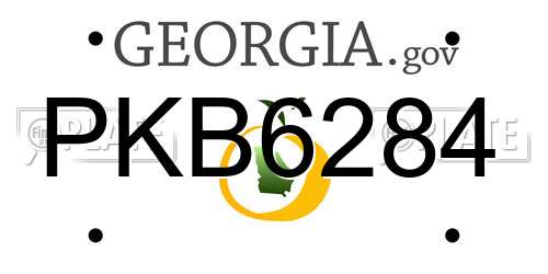 PKB6284 Georgia License Plate