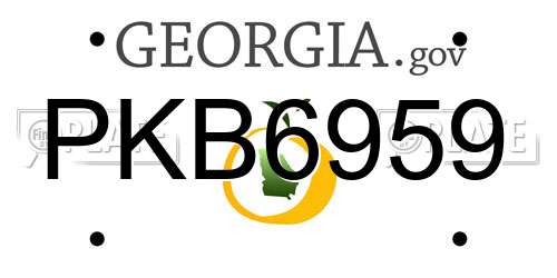 PKB6959 Georgia License Plate