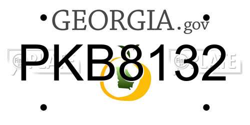 PKB8132 Georgia License Plate