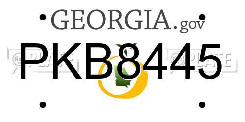 PKB8445 Georgia License Plate