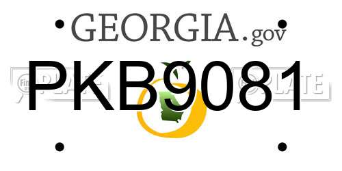 PKB9081 Georgia License Plate