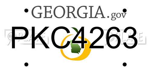 PKC4263 Georgia License Plate