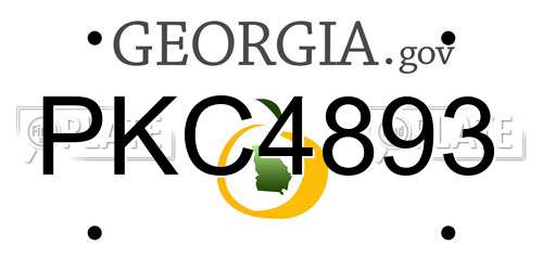 PKC4893 Georgia License Plate