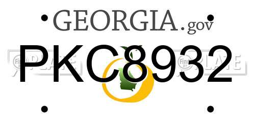 PKC8932 Georgia License Plate
