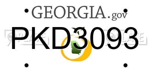 PKD3093 Georgia License Plate