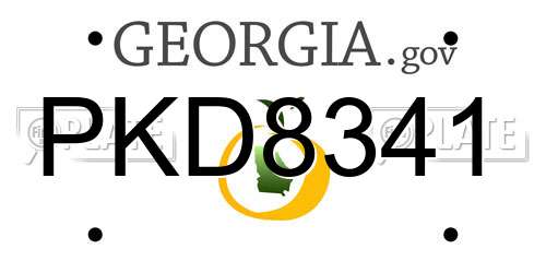 PKD8341 Georgia License Plate
