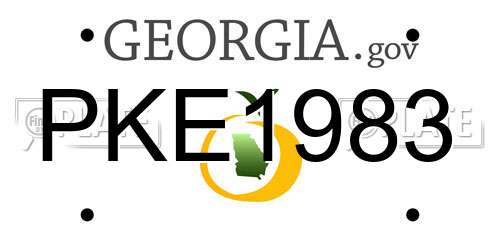 PKE1983 Georgia License Plate