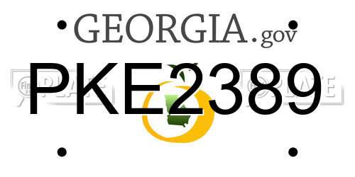 PKE2389 Georgia License Plate