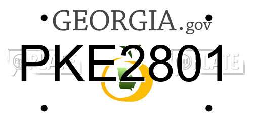 PKE2801 Georgia License Plate