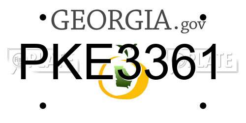 PKE3361 Georgia License Plate