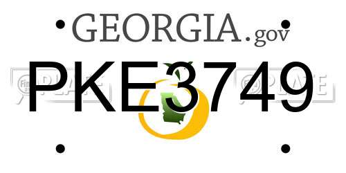 PKE3749 Georgia License Plate