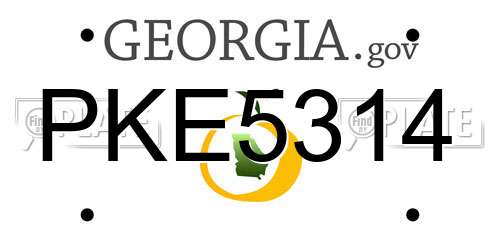 PKE5314 Georgia License Plate