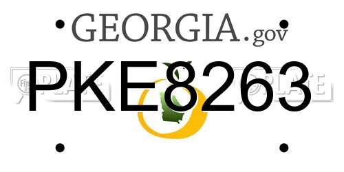 PKE8263 Georgia License Plate