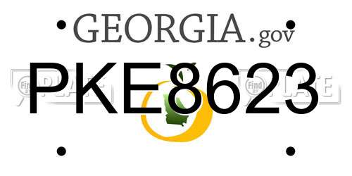PKE8623 Georgia License Plate