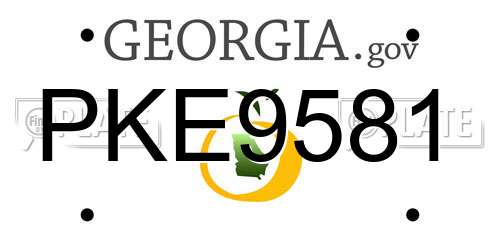 PKE9581 Georgia License Plate