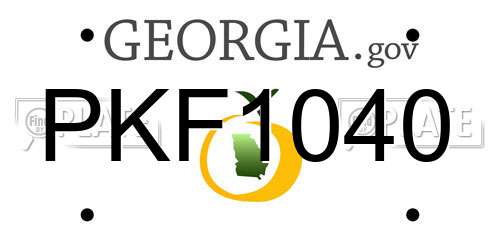 PKF1040 Georgia License Plate