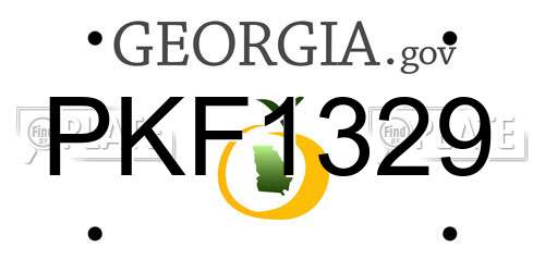 PKF1329 Georgia License Plate