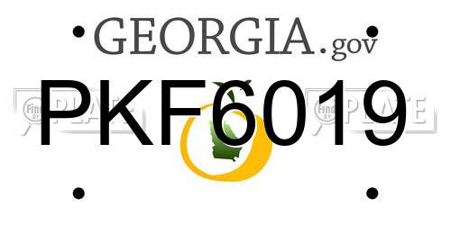PKF6019 Georgia License Plate