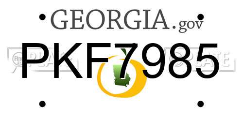PKF7985 Georgia License Plate
