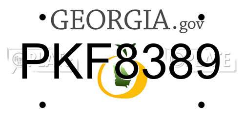 PKF8389 Georgia License Plate