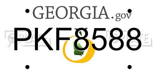 PKF8588 Georgia License Plate