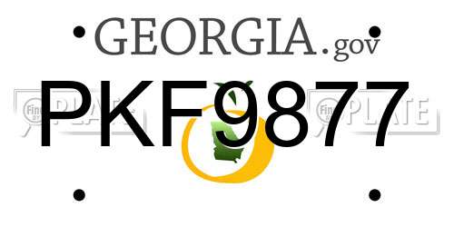 PKF9877 Georgia License Plate
