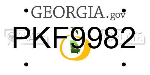 PKF9982 Georgia License Plate