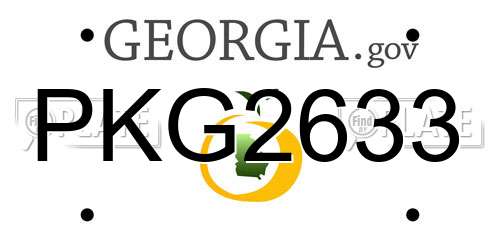 PKG2633 Georgia License Plate