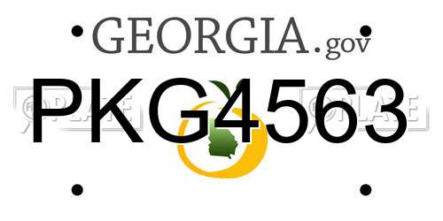 PKG4563 Georgia License Plate