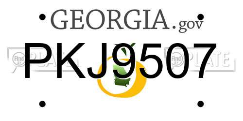 PKJ9507 Georgia License Plate