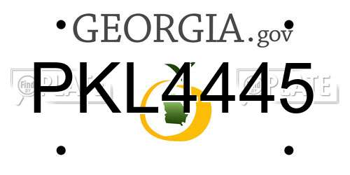 PKL4445 Georgia License Plate