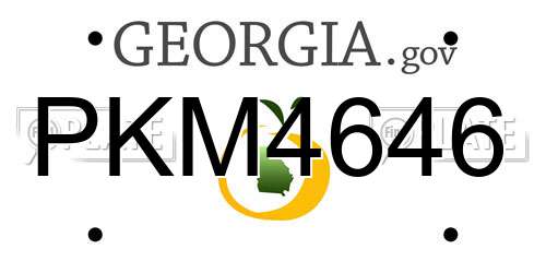 PKM4646 Georgia License Plate