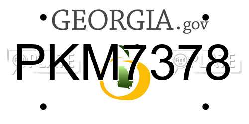 PKM7378 Georgia License Plate