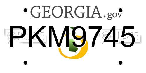 PKM9745 Georgia License Plate