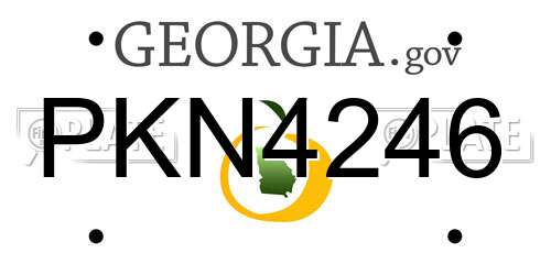 PKN4246 Georgia License Plate