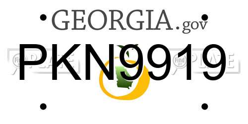 PKN9919 Georgia License Plate