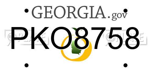 PKO8758 Georgia License Plate