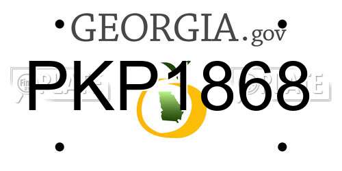 PKP1868 Georgia License Plate
