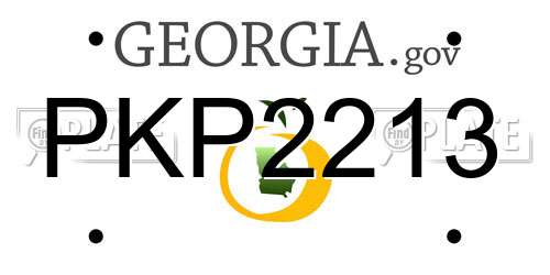 PKP2213 Georgia License Plate