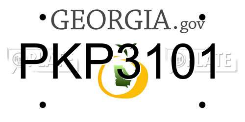 PKP3101 Georgia License Plate