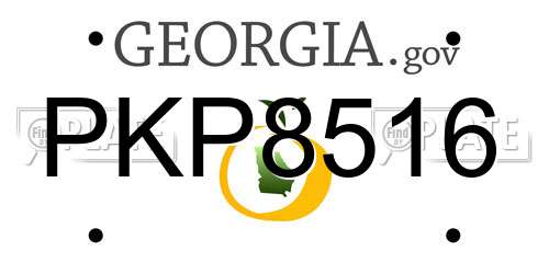 PKP8516 Georgia License Plate