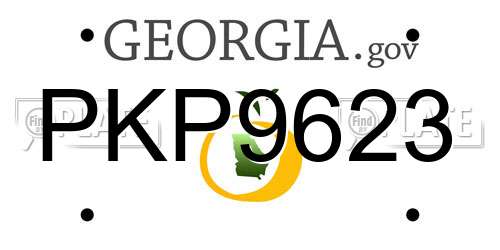 PKP9623 Georgia License Plate