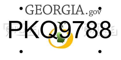 PKQ9788 Georgia License Plate