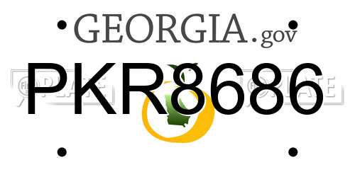 PKR8686 Georgia License Plate