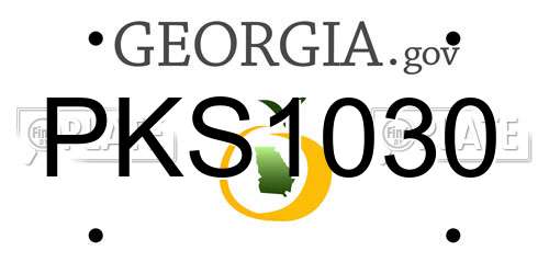 PKS1030 Georgia License Plate