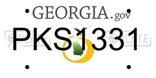 PKS1331 Georgia License Plate